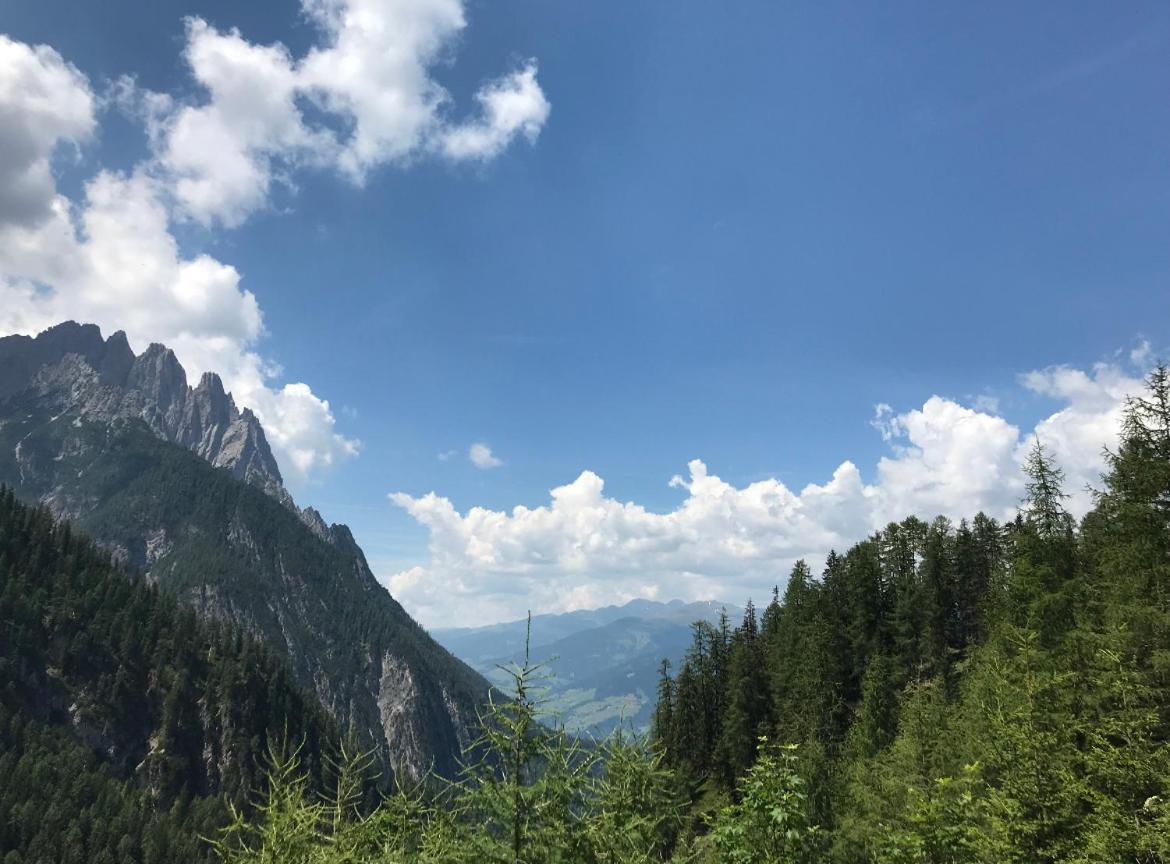 The Dolomiti View Apartamento Debant Exterior foto